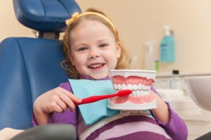Little girl is having her teeth examined by dentist. girl holding artificial teeth and brush and smiling